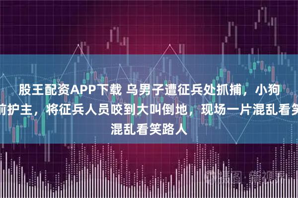 股王配资APP下载 乌男子遭征兵处抓捕，小狗冲上前护主，将征兵人员咬到大叫倒地，现场一片混乱看笑路人