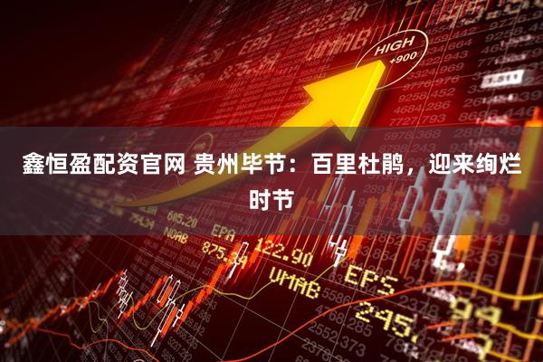 鑫恒盈配资官网 贵州毕节：百里杜鹃，迎来绚烂时节