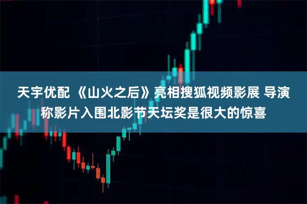 天宇优配 《山火之后》亮相搜狐视频影展 导演称影片入围北影节天坛奖是很大的惊喜